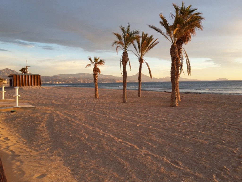 Entrenamiento Personal Alicante