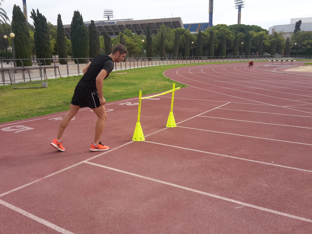 circuito de agilidad