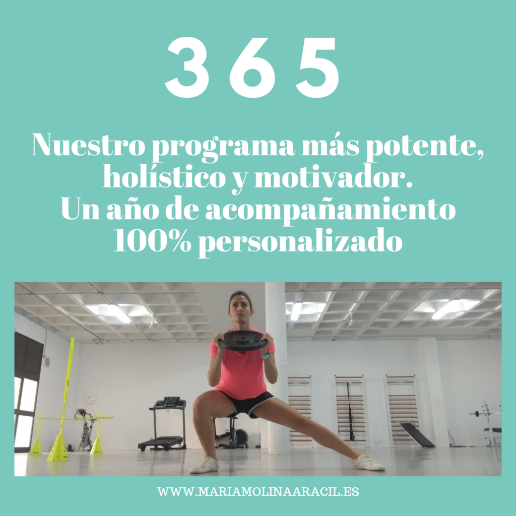 Nuestro programa más potente.